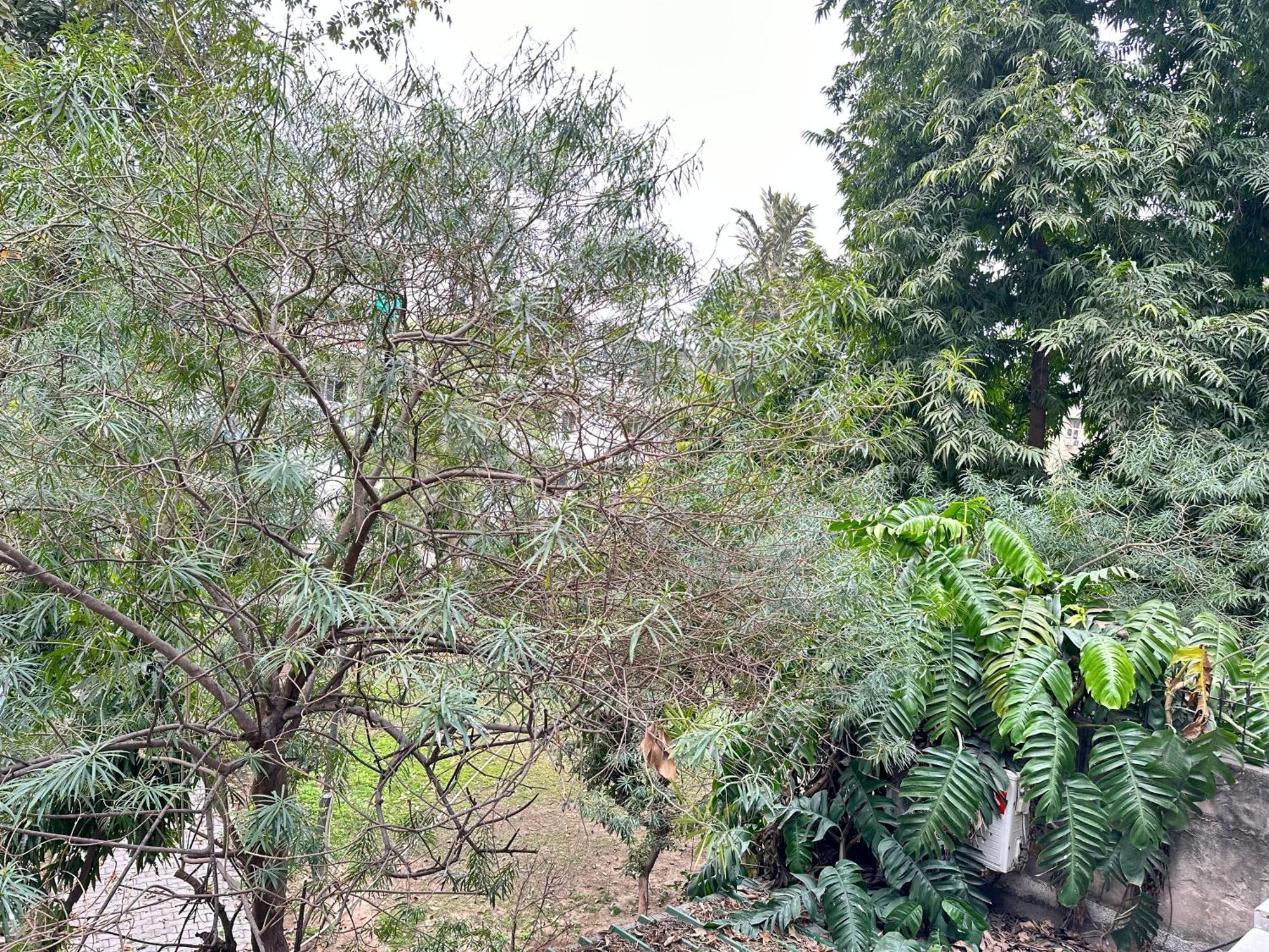 Grove Residency Hauz Khas New Delhi Couple Friendly 호텔 외부 사진